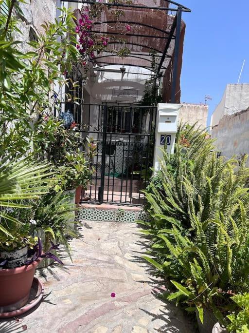 Amazing Sea And Mountain View! Casita Pinata Apartment Salobrena Bagian luar foto