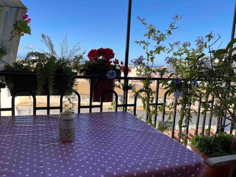 Amazing Sea And Mountain View! Casita Pinata Apartment Salobrena Bagian luar foto