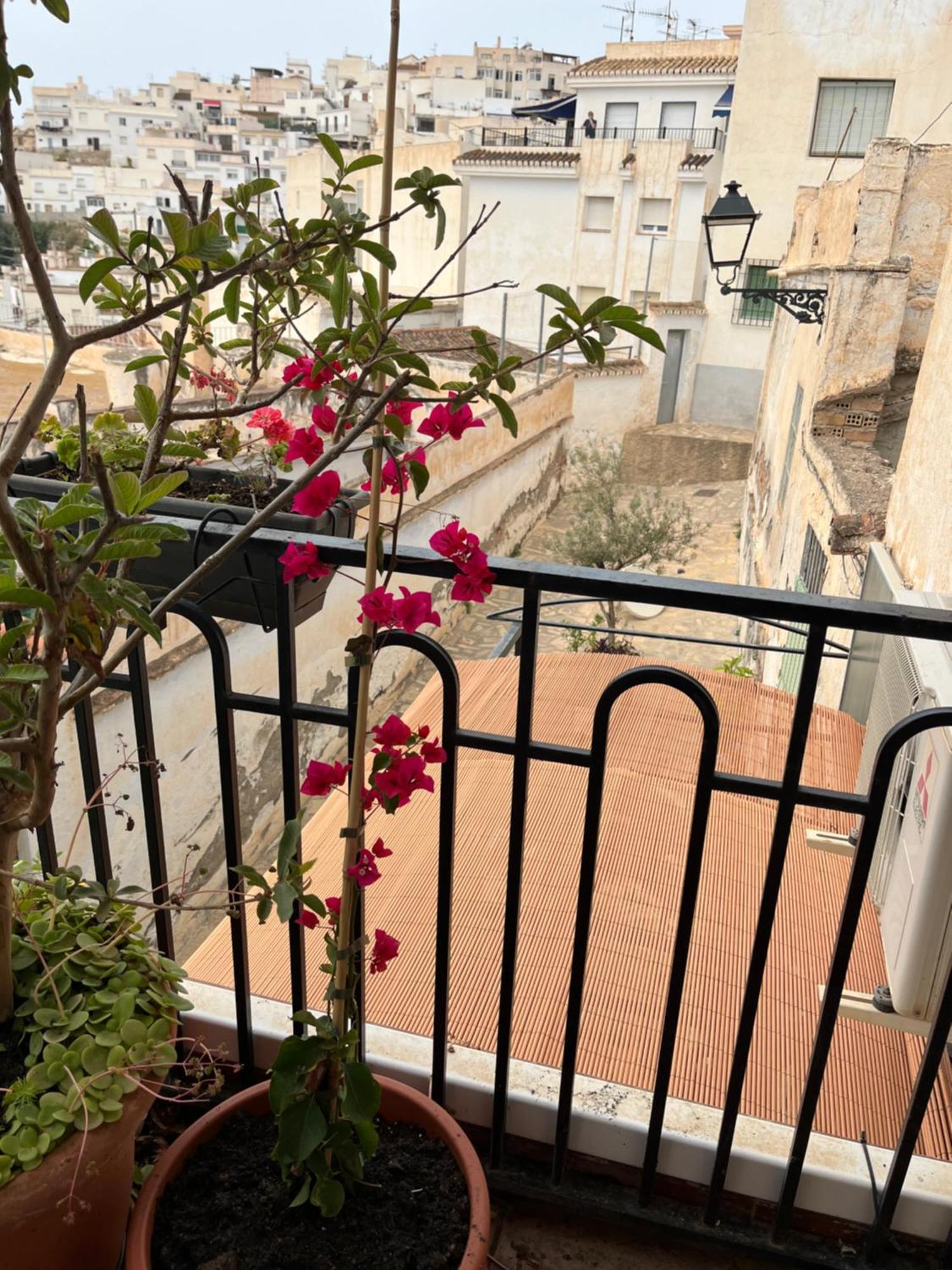 Amazing Sea And Mountain View! Casita Pinata Apartment Salobrena Bagian luar foto