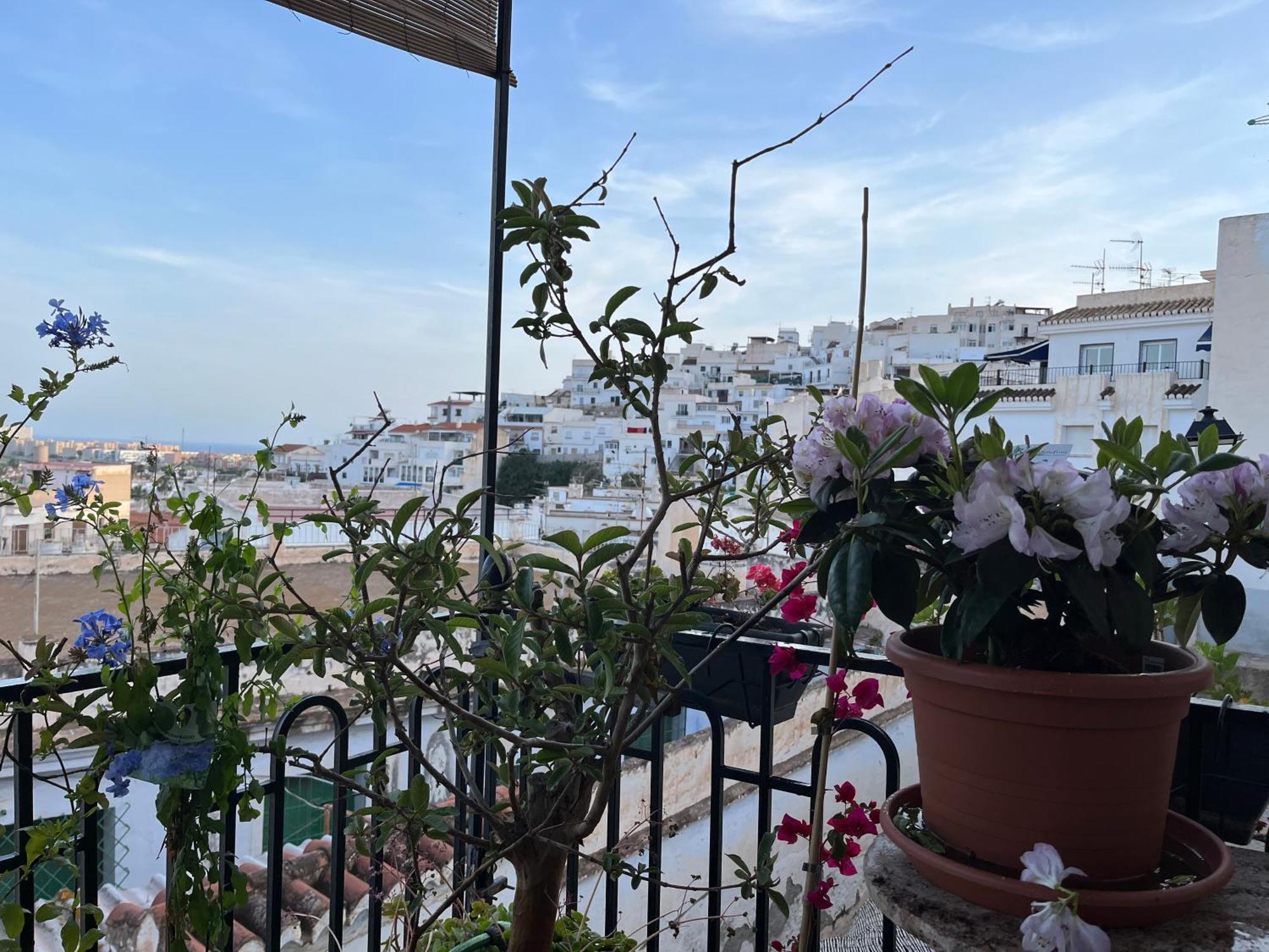 Amazing Sea And Mountain View! Casita Pinata Apartment Salobrena Bagian luar foto